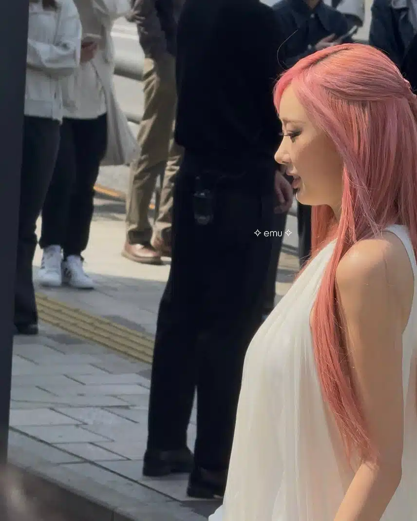 오늘자 일본 로에베 행사 참석한 지젤jpg