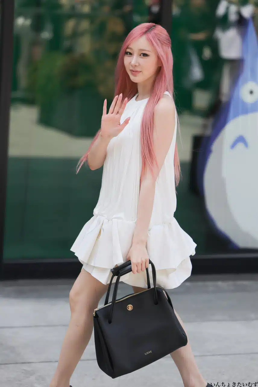 오늘자 일본 로에베 행사 참석한 지젤jpg