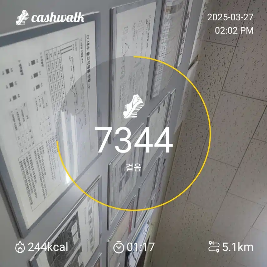 인증