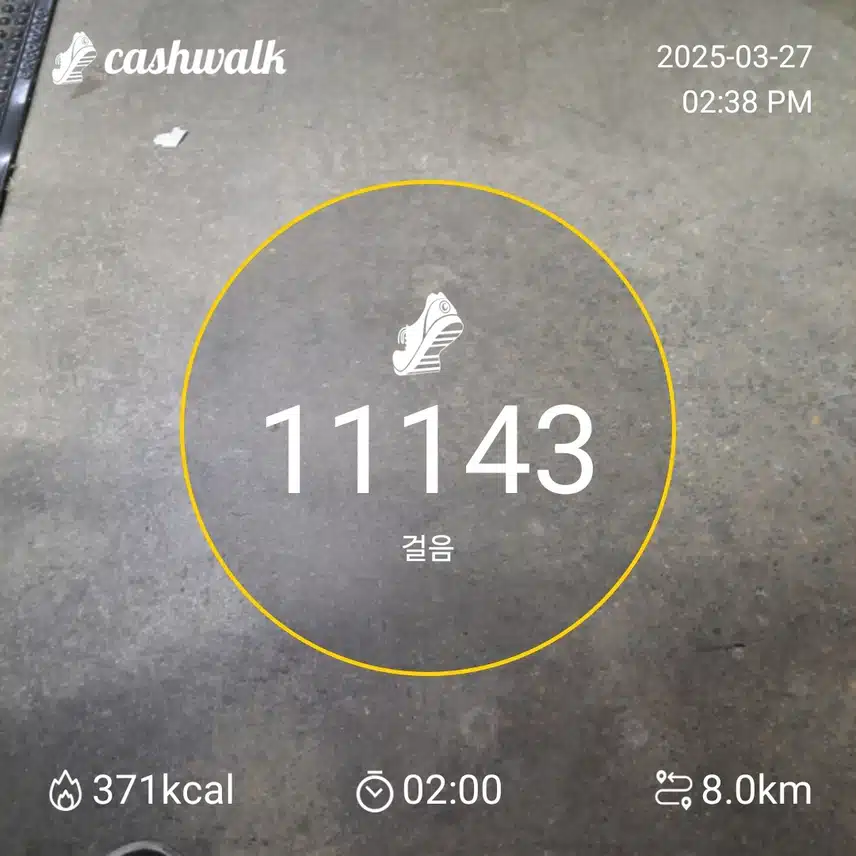 인증 