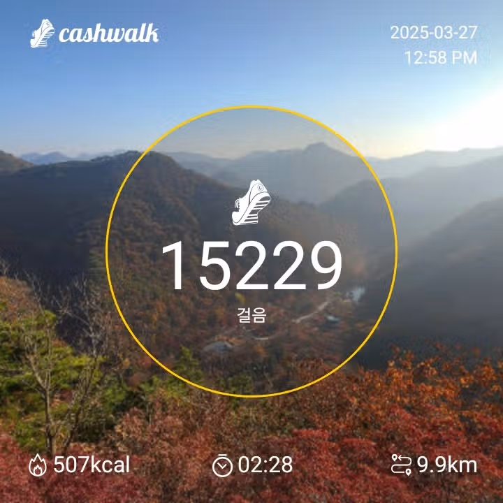 인증