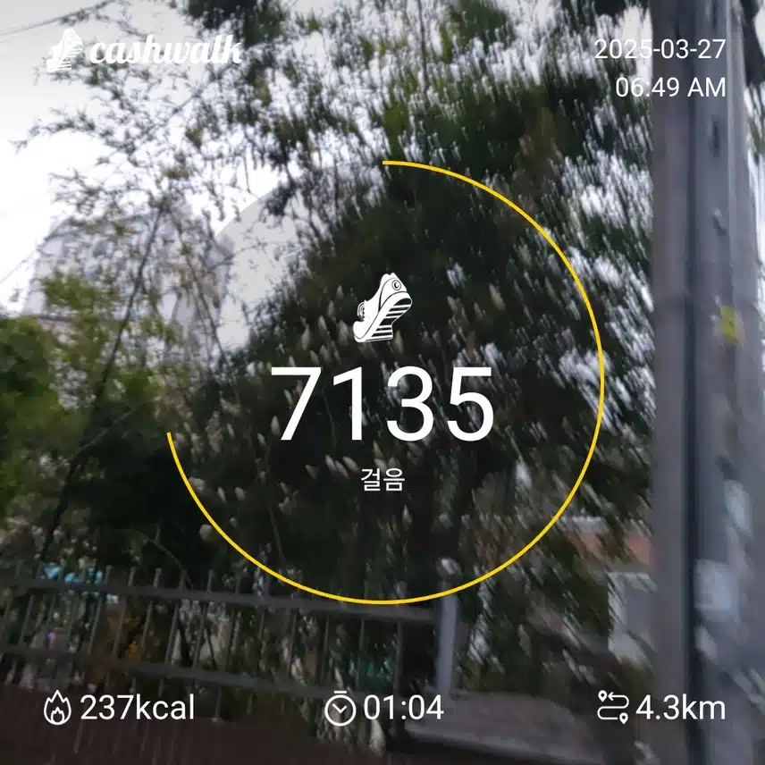 7000보 걷기