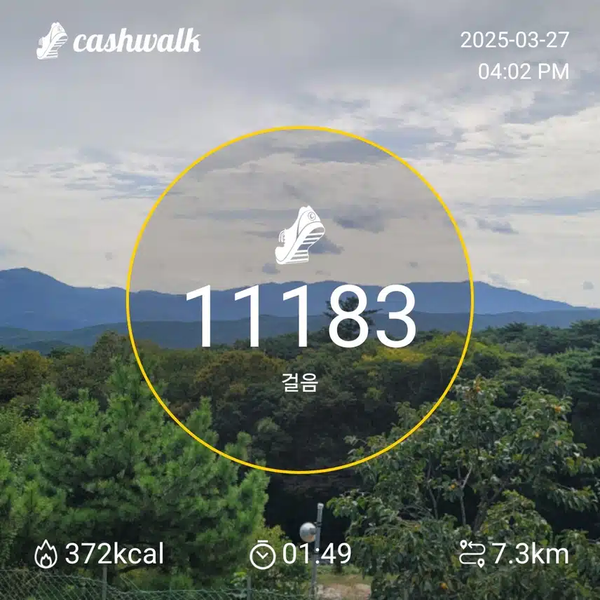 인증 