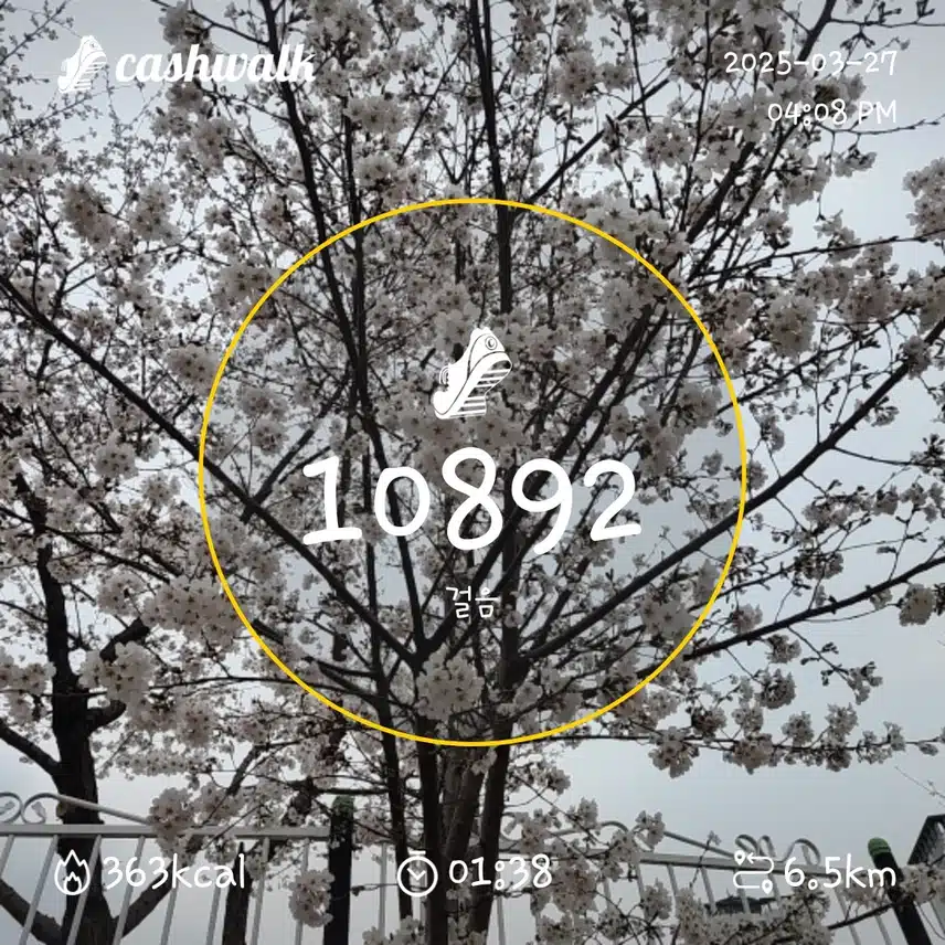 인증