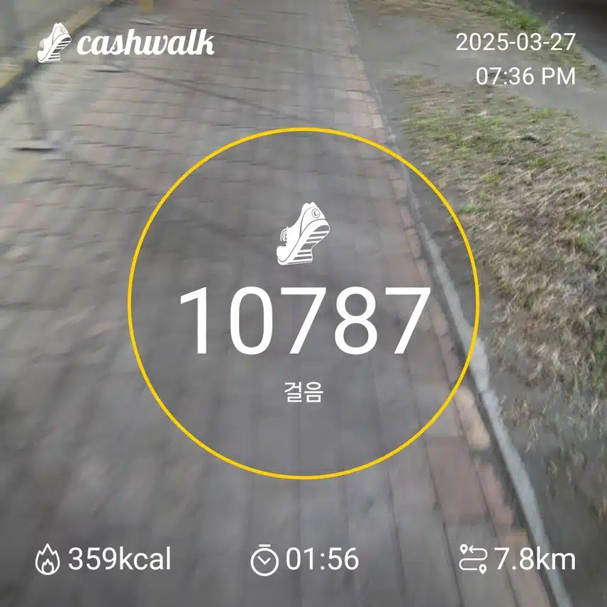 인증