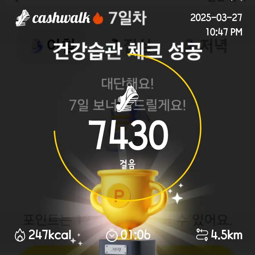 4일차