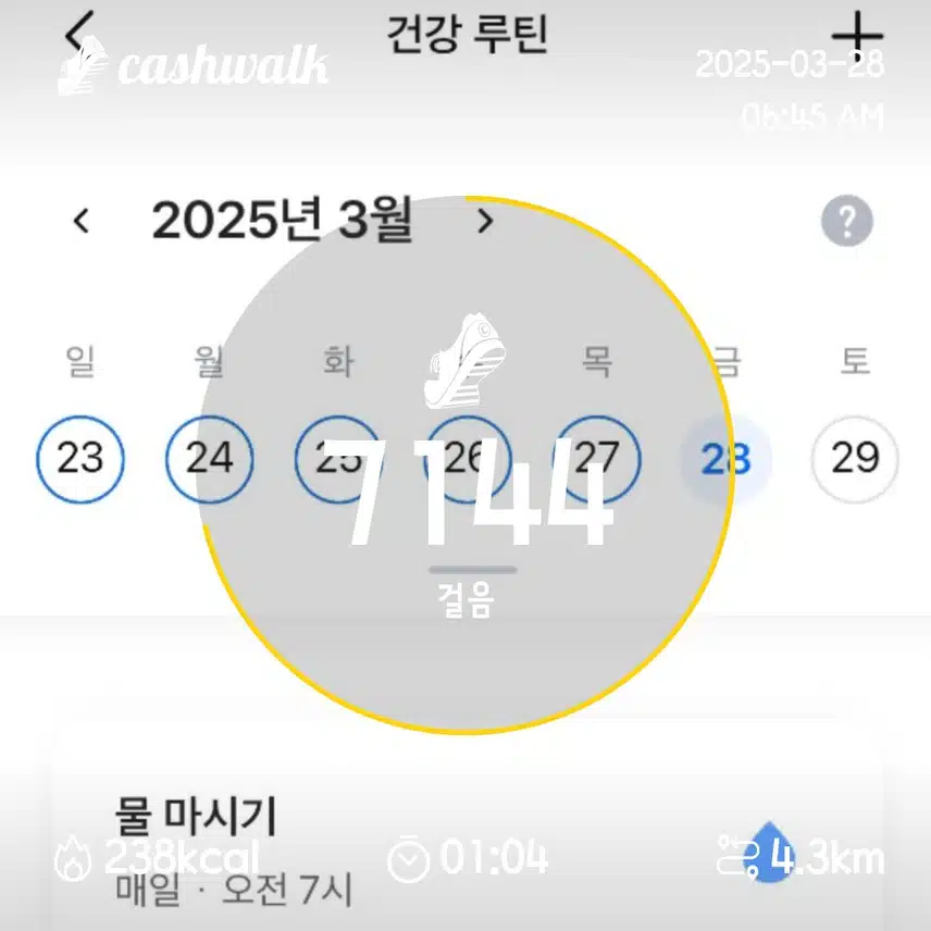 5일차 