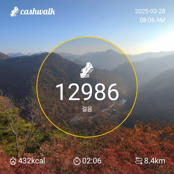 인증