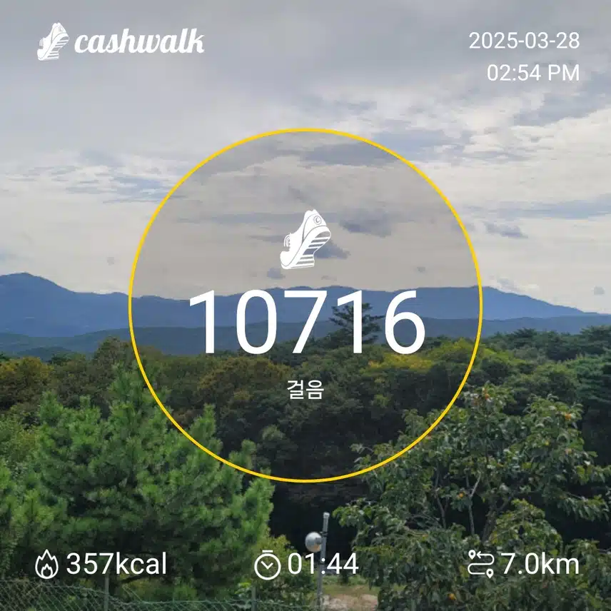 인증 