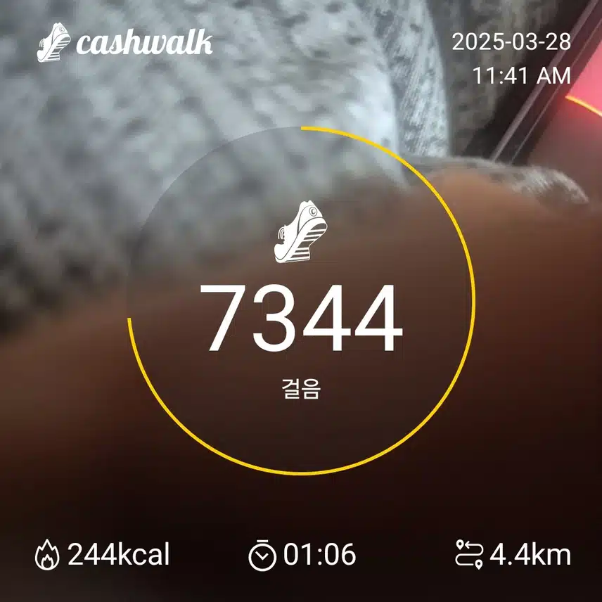 인증