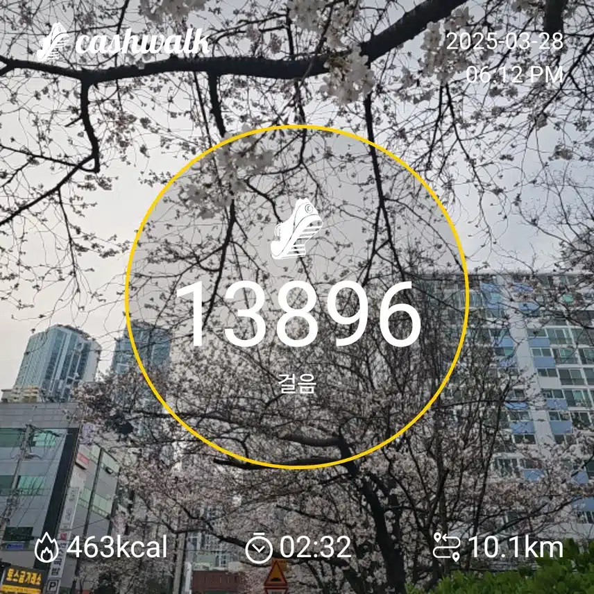 인증 