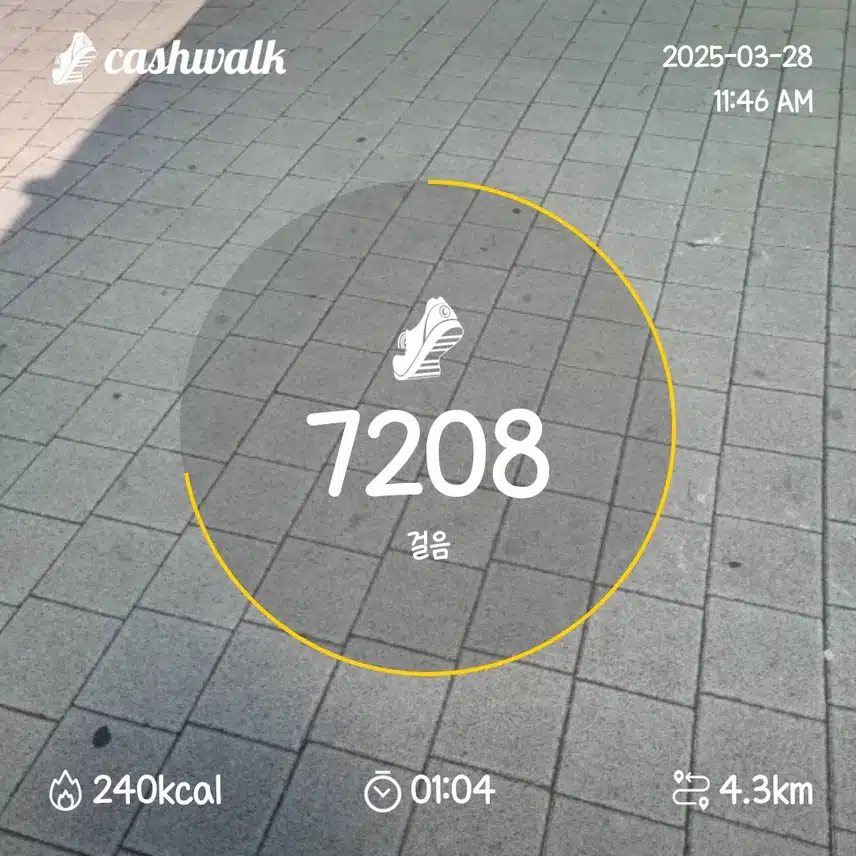 인증