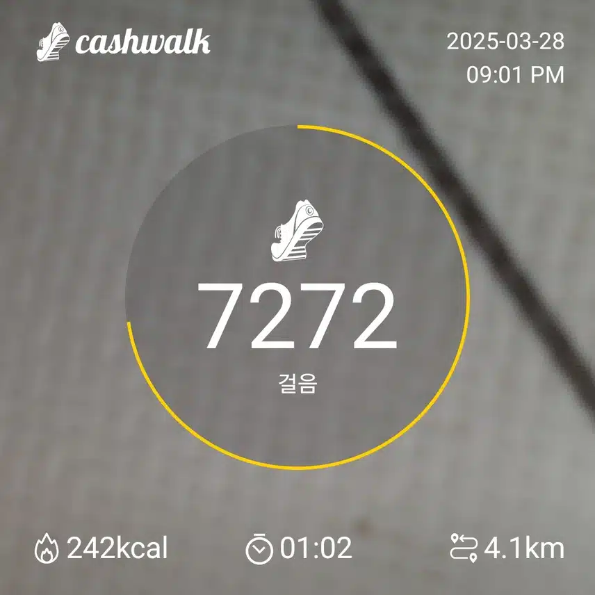 인증