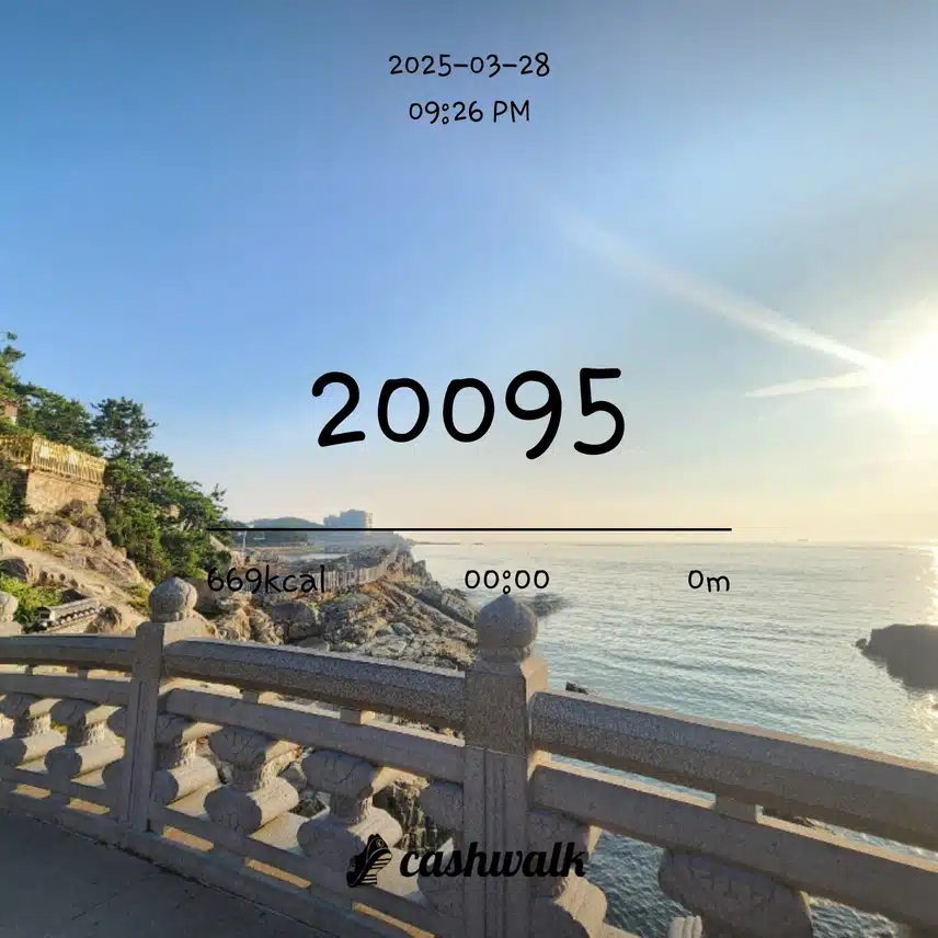 쇼마젠시 하루 7천보 5일차 인증
