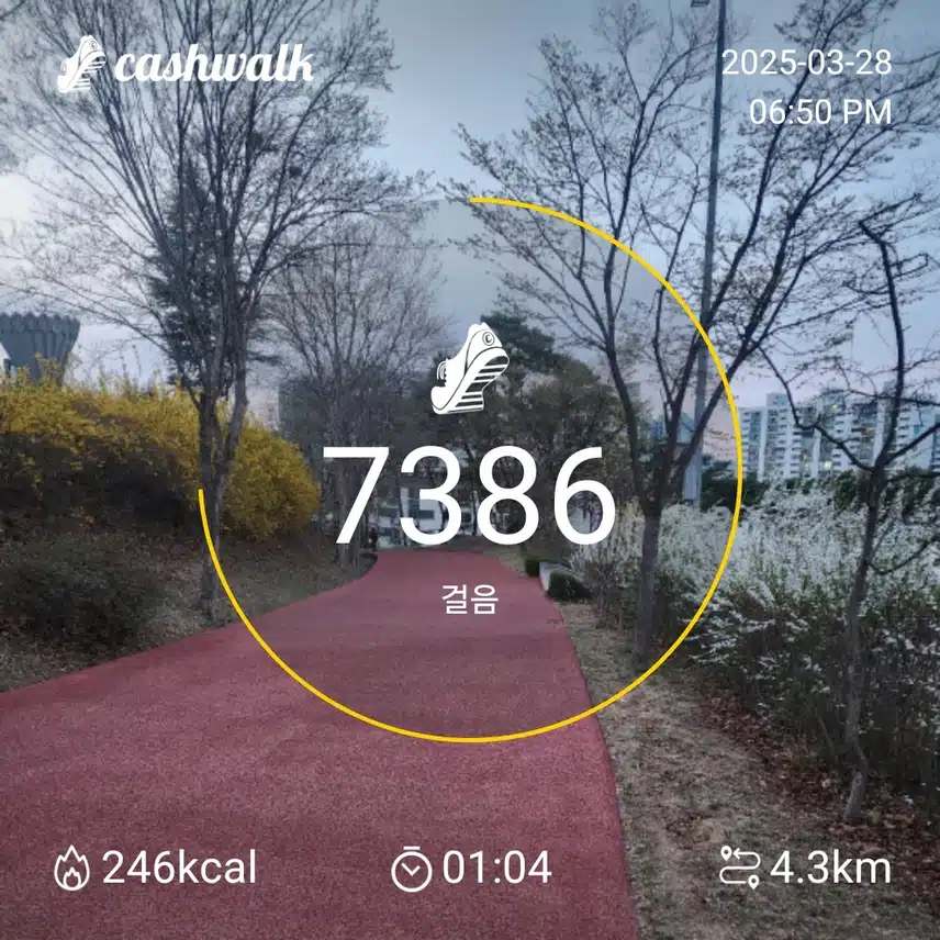 인증