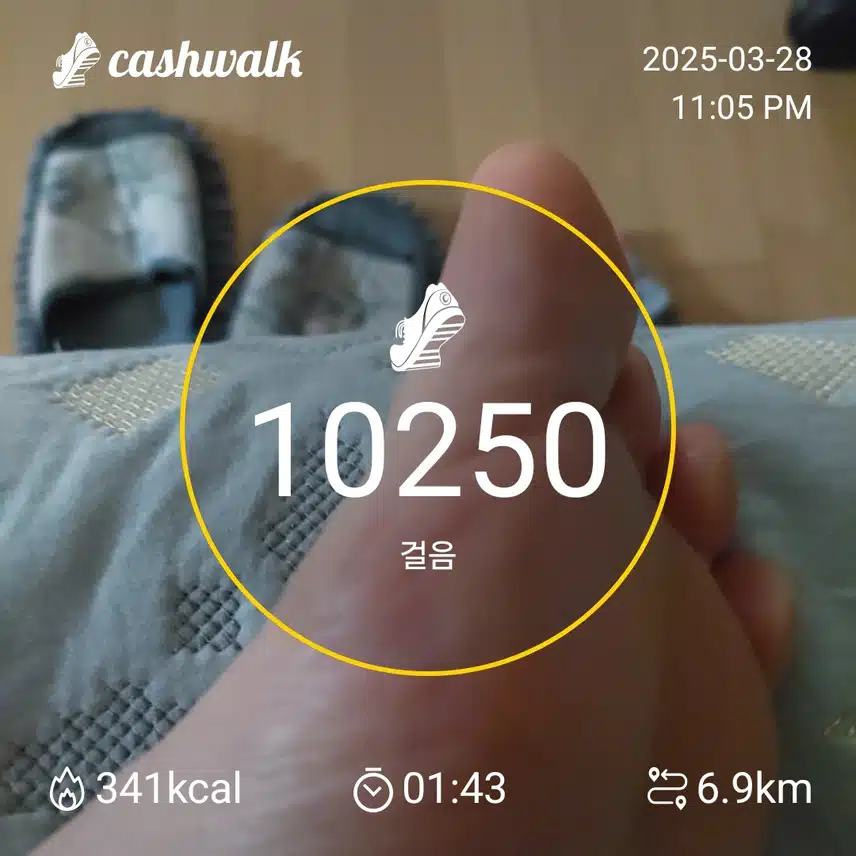 인증