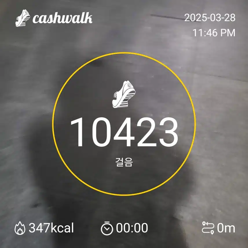 인증 