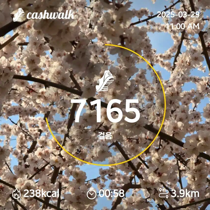 인증