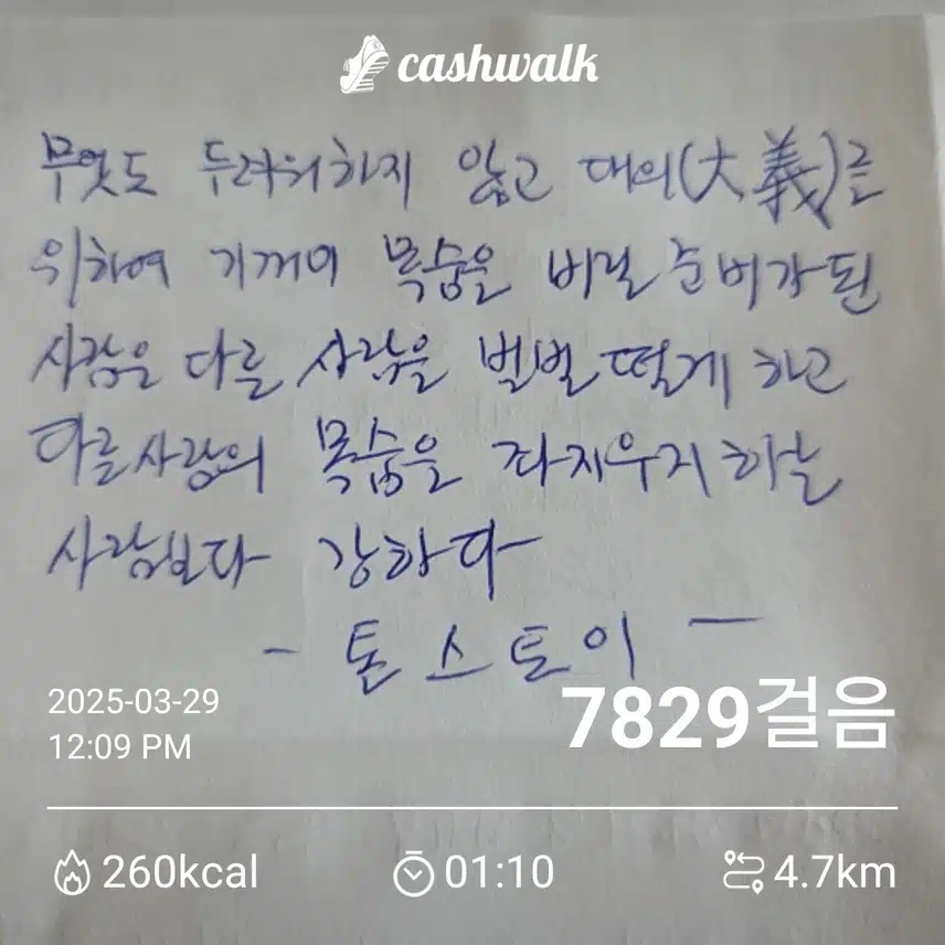 톨스토이 (명언/명대사)