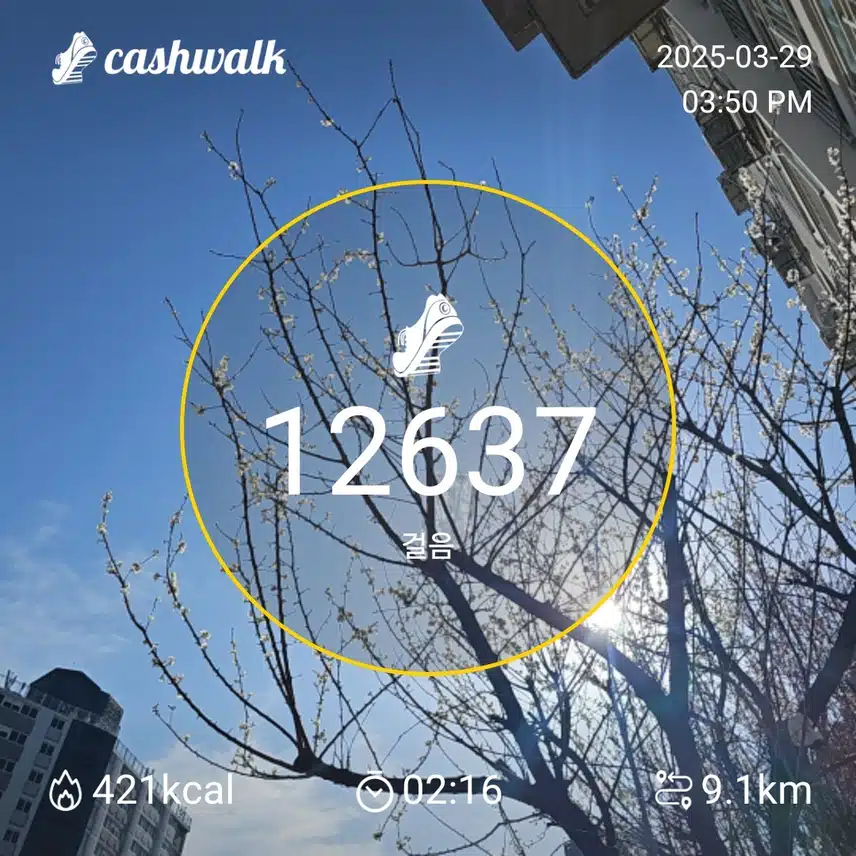 인증