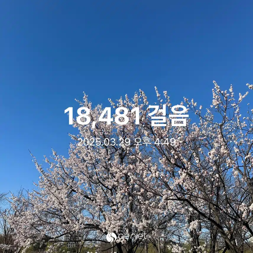 만보