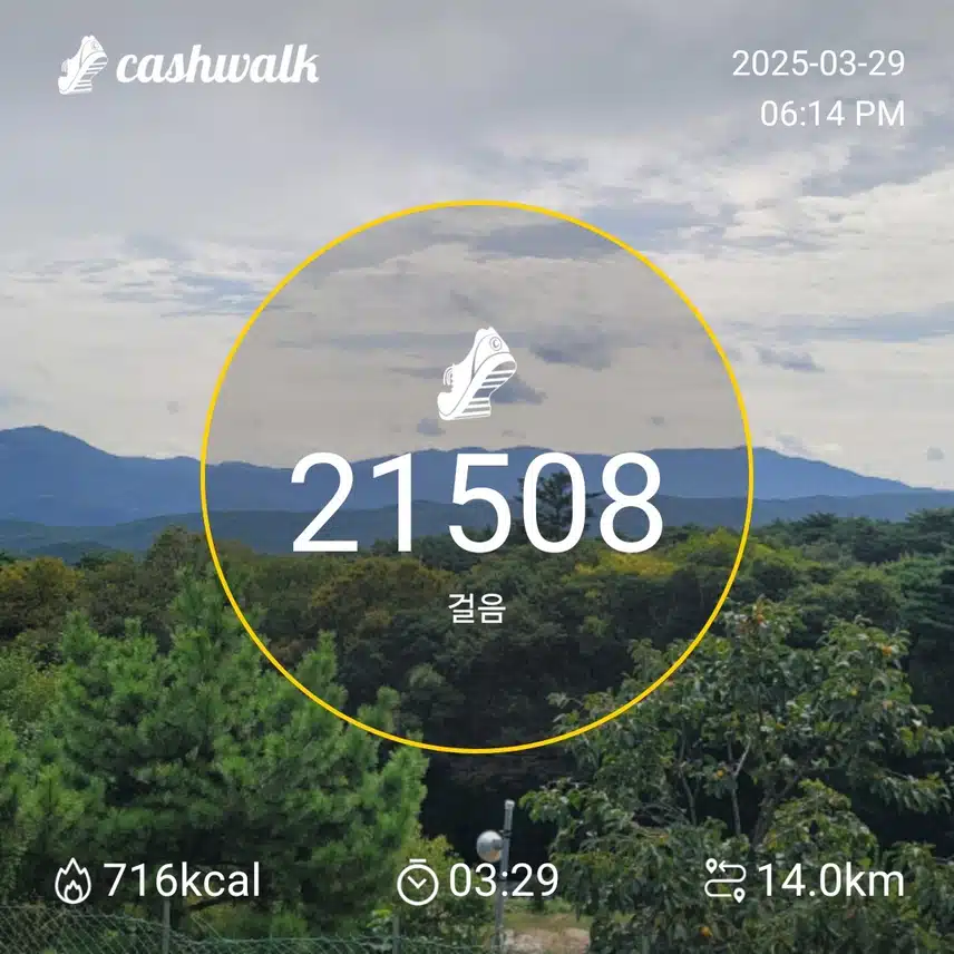 인증 