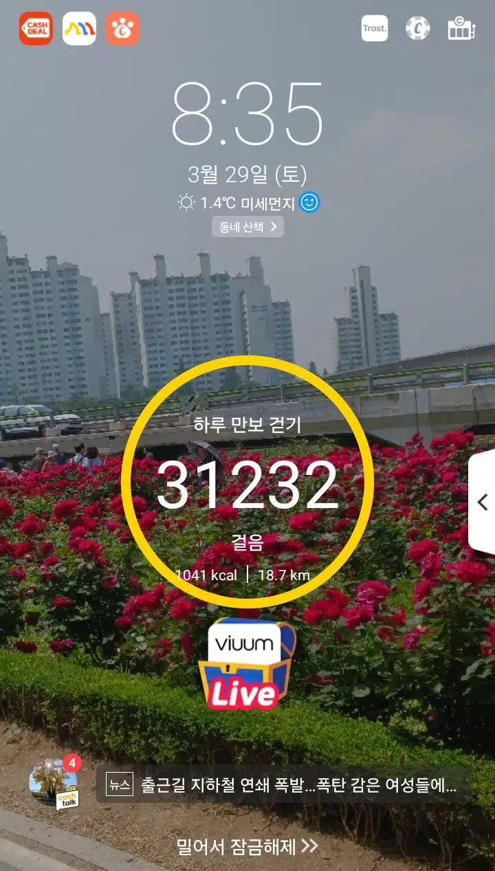 삼만보 걷기 