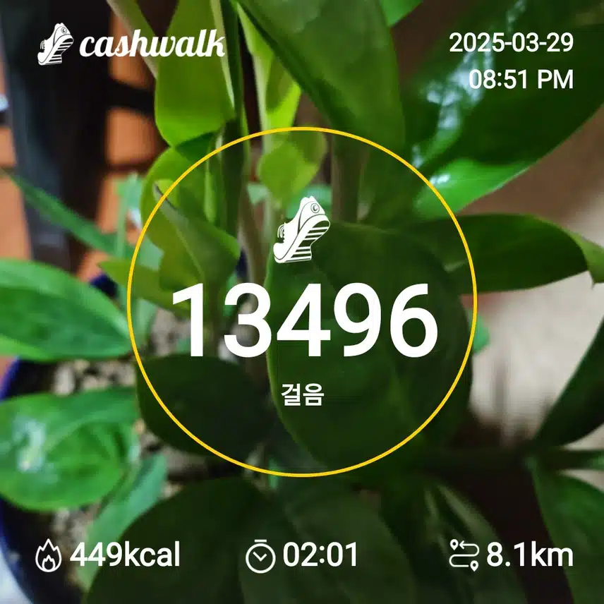 인증