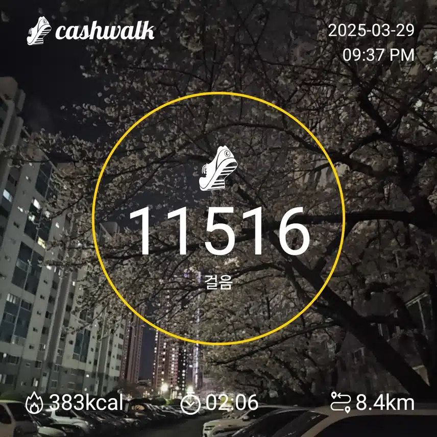 인증 