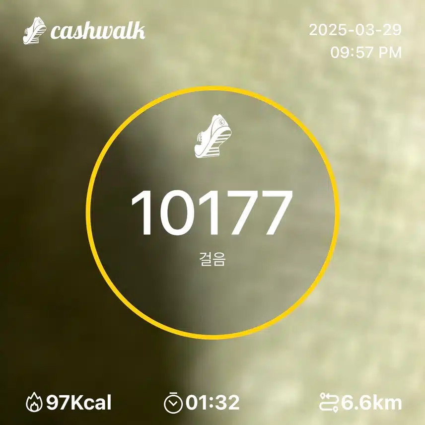인증