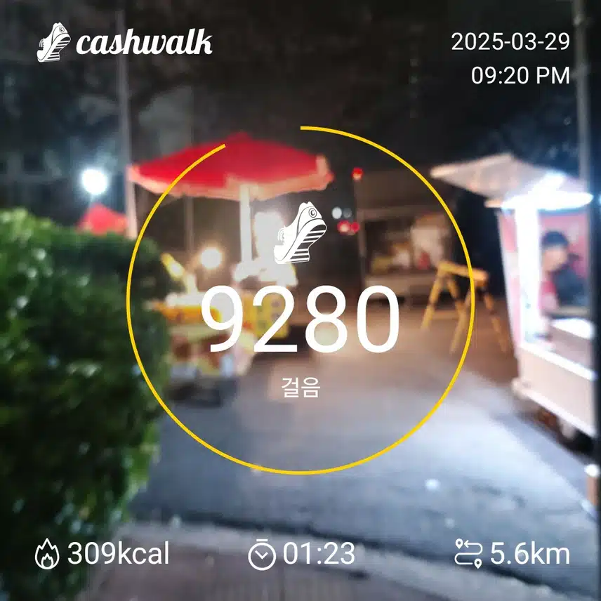 인증 