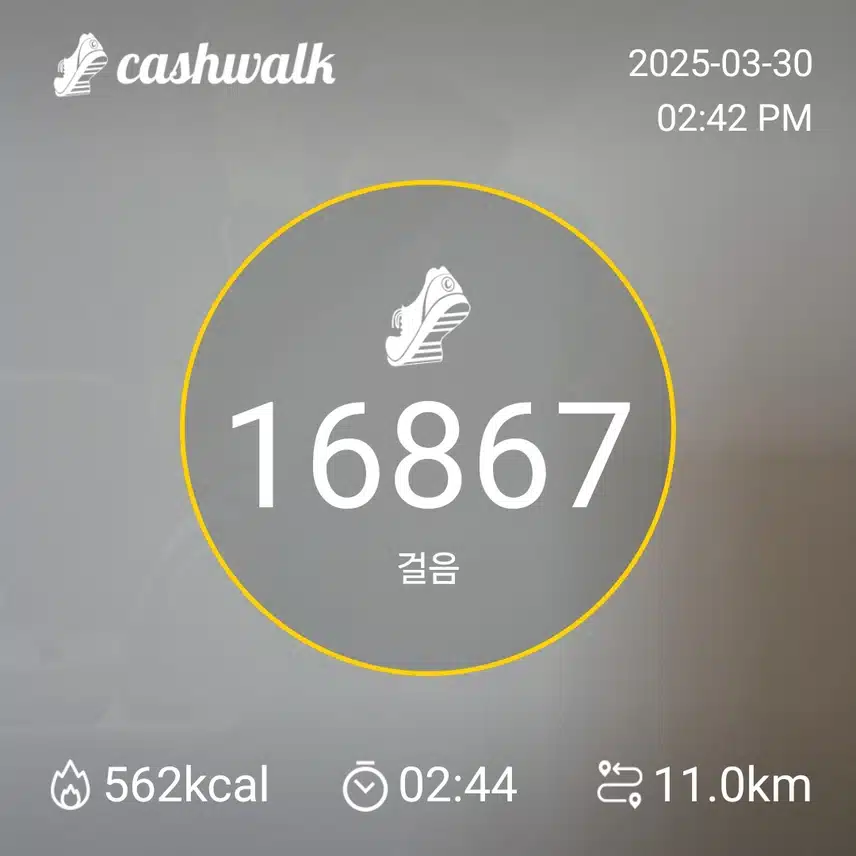 인증