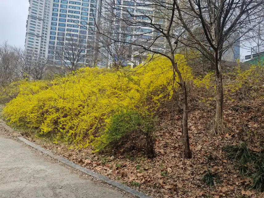 행복 호르몬 듬뿍 받고 왔어요...^^