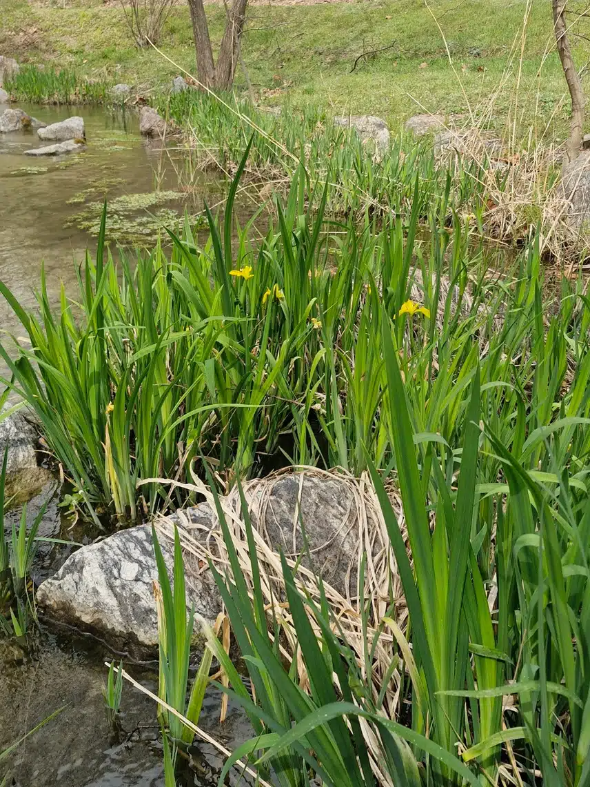 행복 호르몬 듬뿍 받고 왔어요...^^