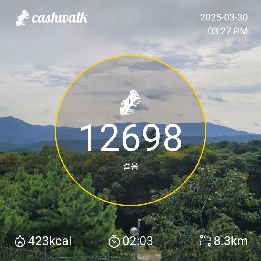 인증 