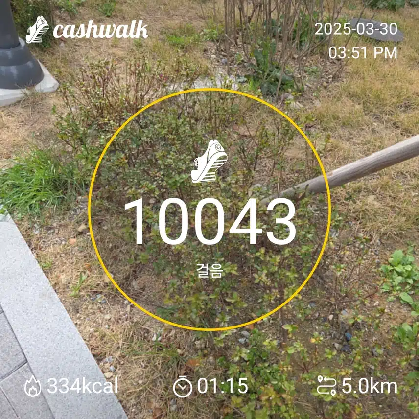인증 