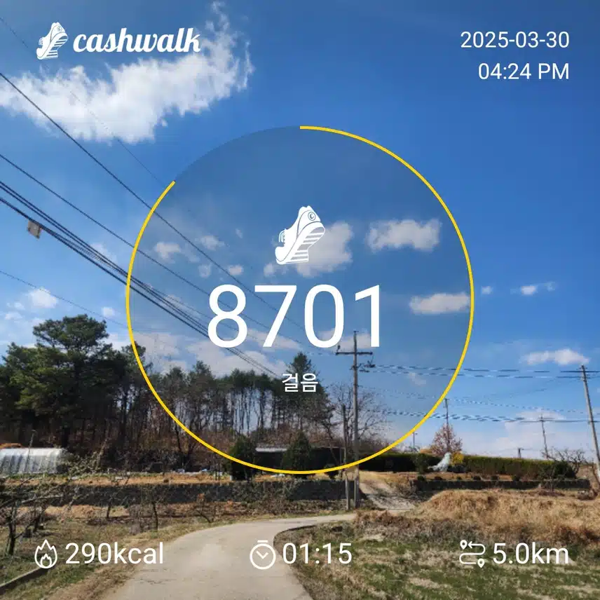인증