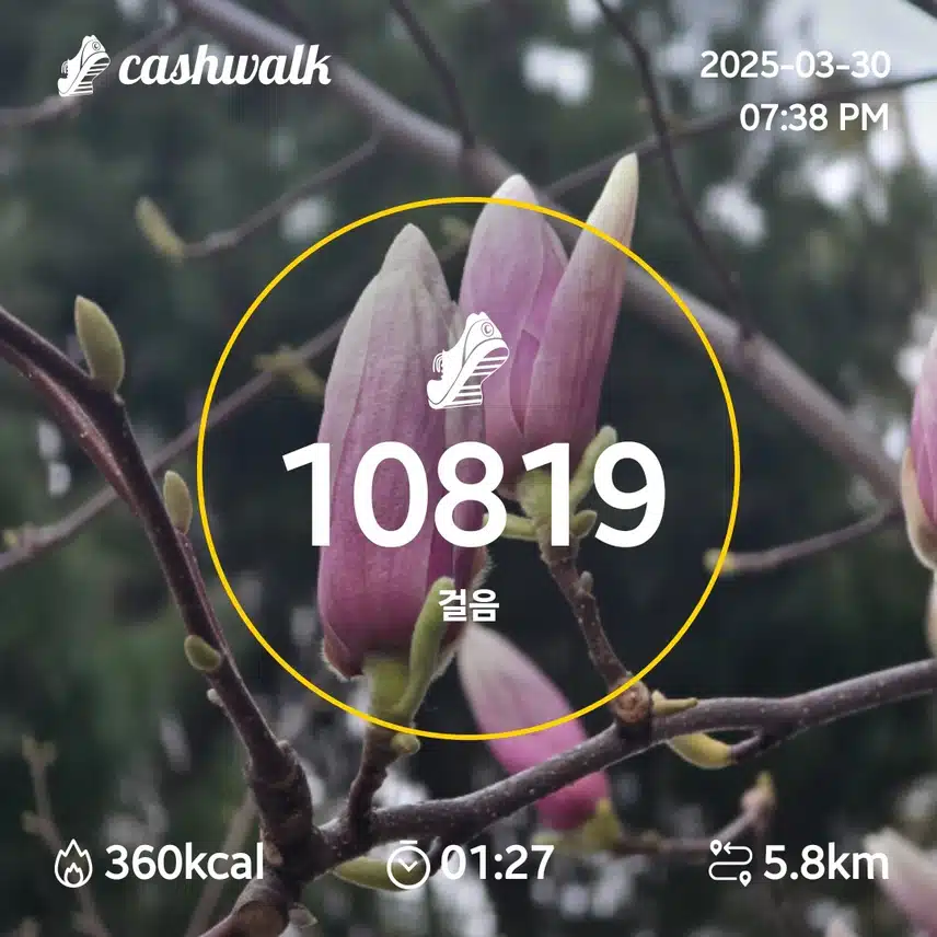 인증