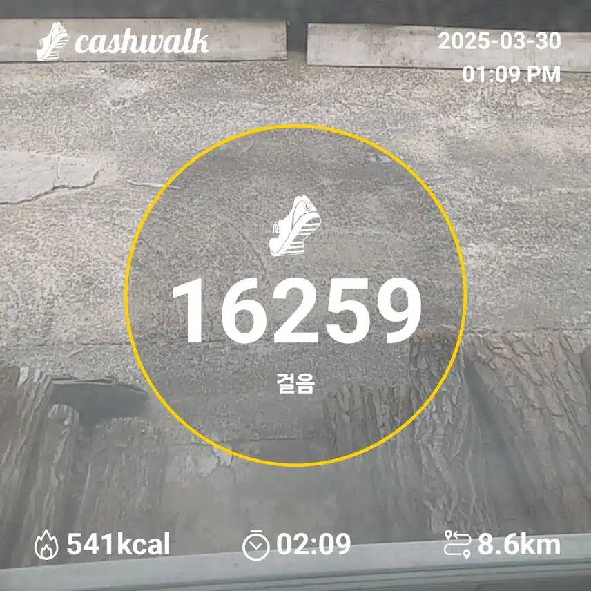 인증