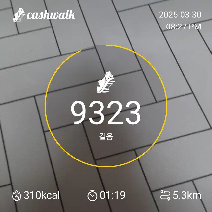인증