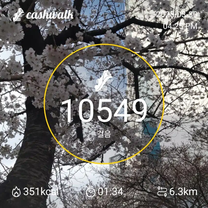인증 