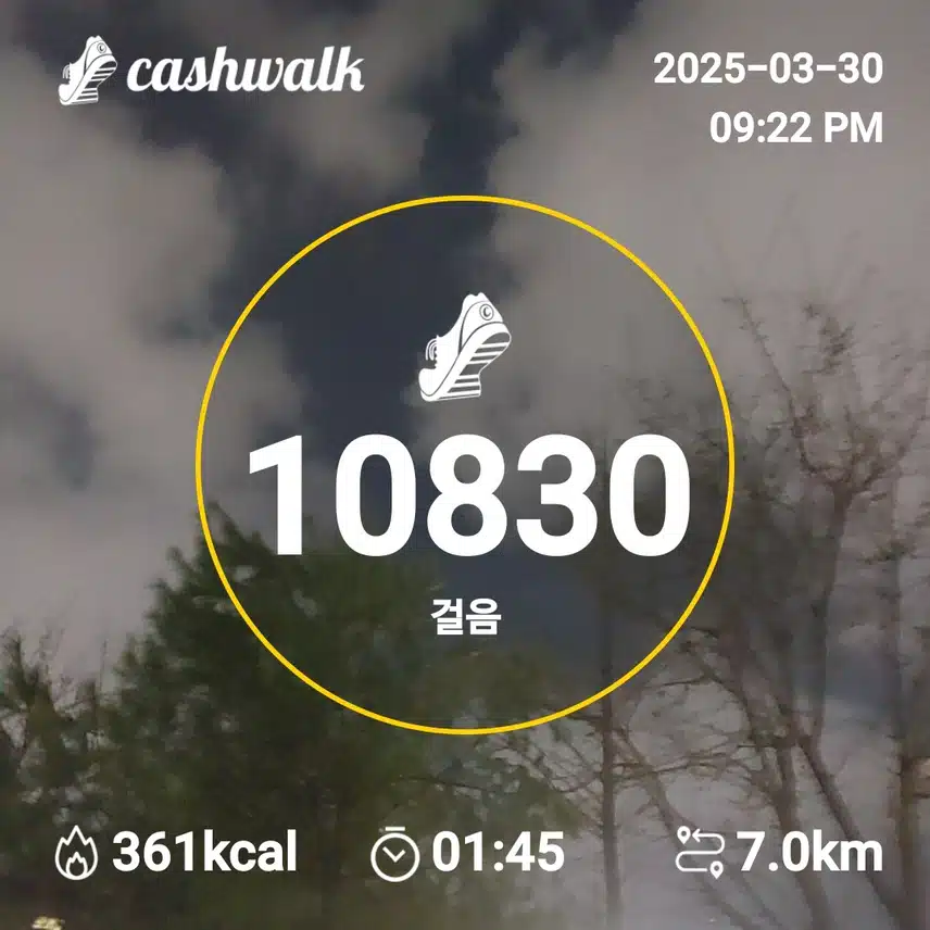 인증
