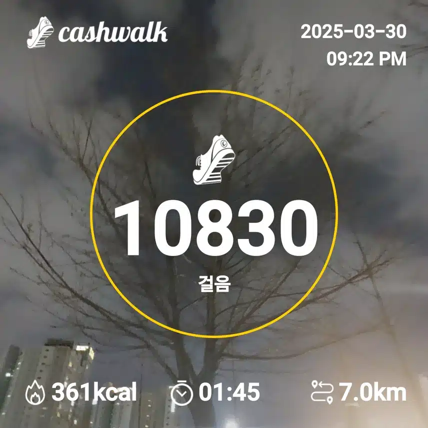 인증