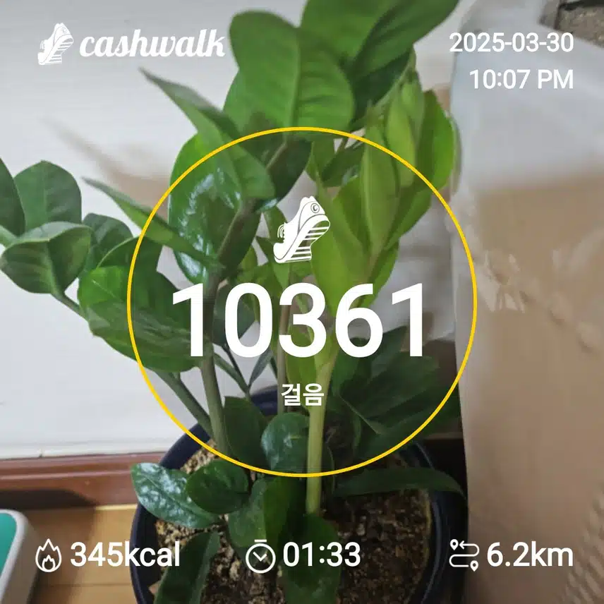 인증