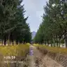 board-img