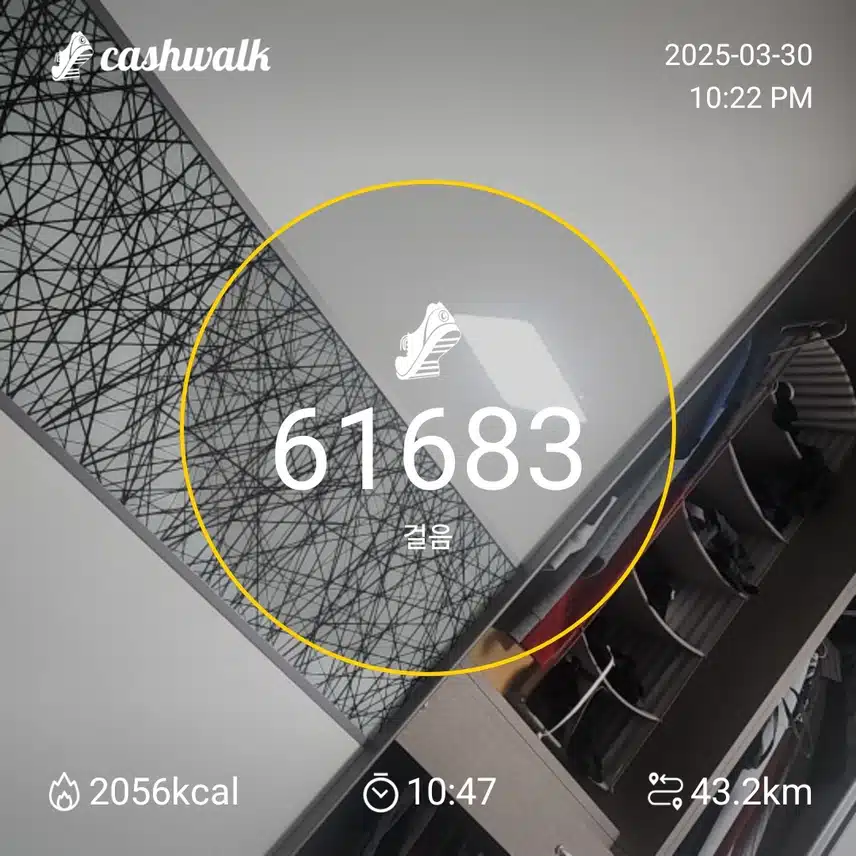 인증
