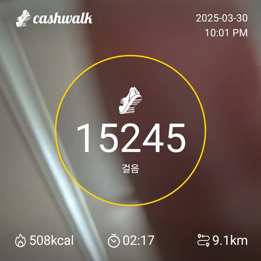 인증