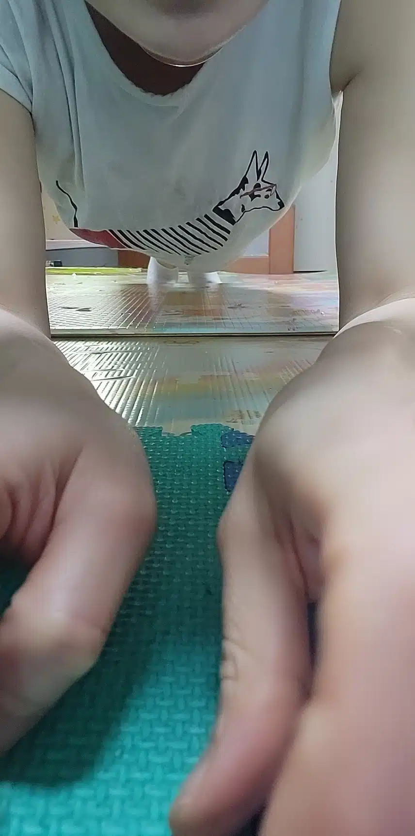 플랭크 