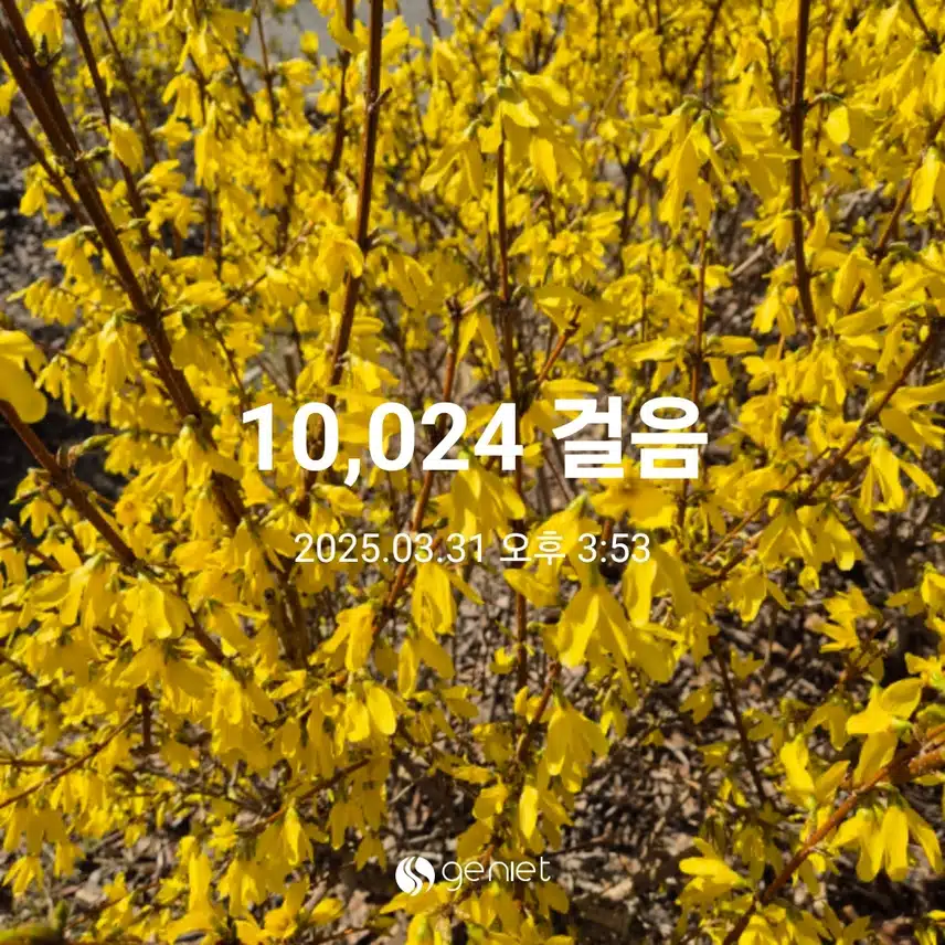 만보완주했어요