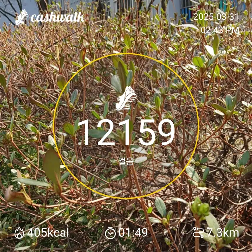 인증 